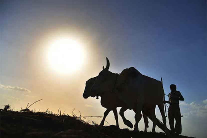 क.. कमॉडिटीचा : शेतमाल व्यापार अध्यादेश.. शेतकऱ्यांनाही ‘वर्क फ्रॉम होम’ संधी