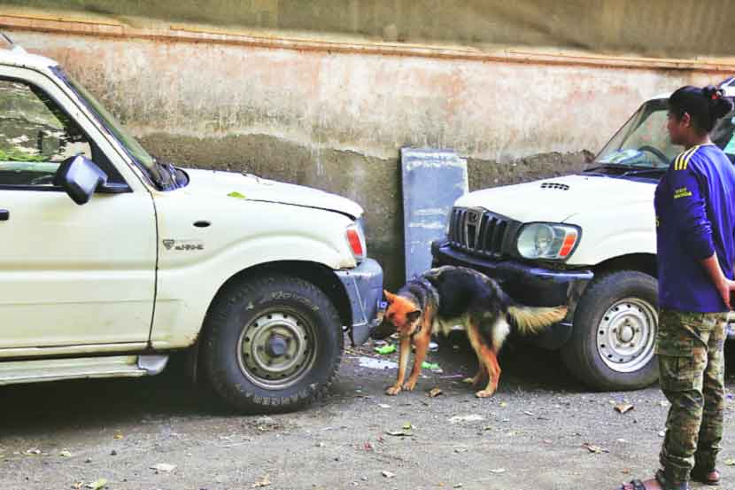 मूकरक्षकांचा ताफा टाळेबंदीतही दक्ष