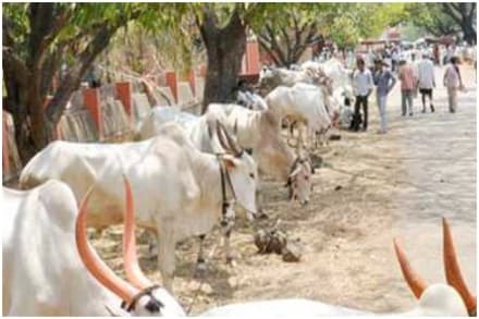संग्रहीत प्रतिकात्मक छायाचित्र