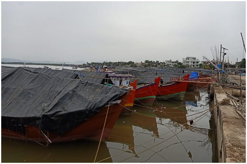 पालघर : मासेमारीसाठी गेलेल्या बहुतांश बोटी किनाऱ्यावर परतल्या