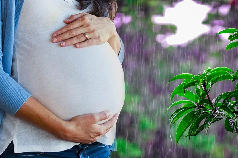 पावसाळ्यात गर्भवती महिलांनी घ्या ‘ही’ विशेष काळजी