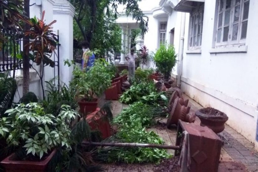 संग्रहित छायाचित्र