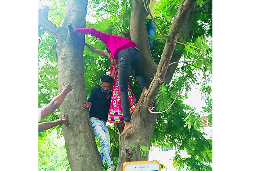 जळगाव पोलीस अधीक्षक कार्यालयासमोरील झाडावर चढलेल्या विवाहितेस खाली उतरवितांना युवक