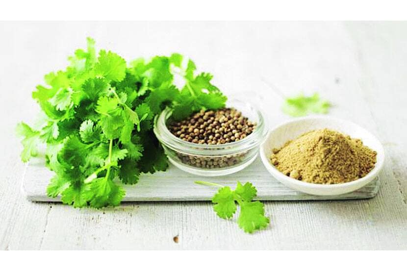 पदार्थाची चव वाढविणाऱ्या कोथिंबीरीचे गुणकारी फायदे