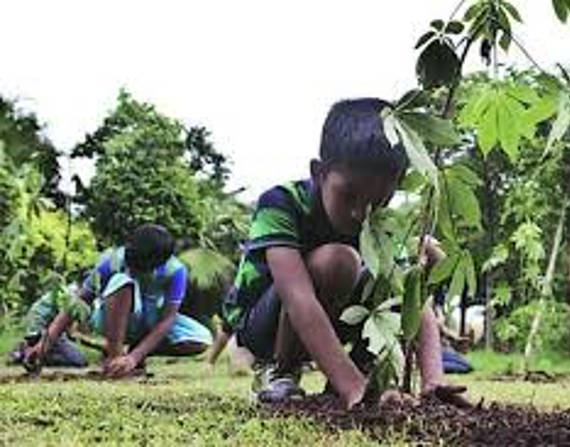 करोनाचे संकट निवारण करण्यास प्राधान्य देण्याचा निर्णय पालिकेने घेतल्याने या ‘हिरव्या मोहिमे’ला लाल कंदील लागला आहे.