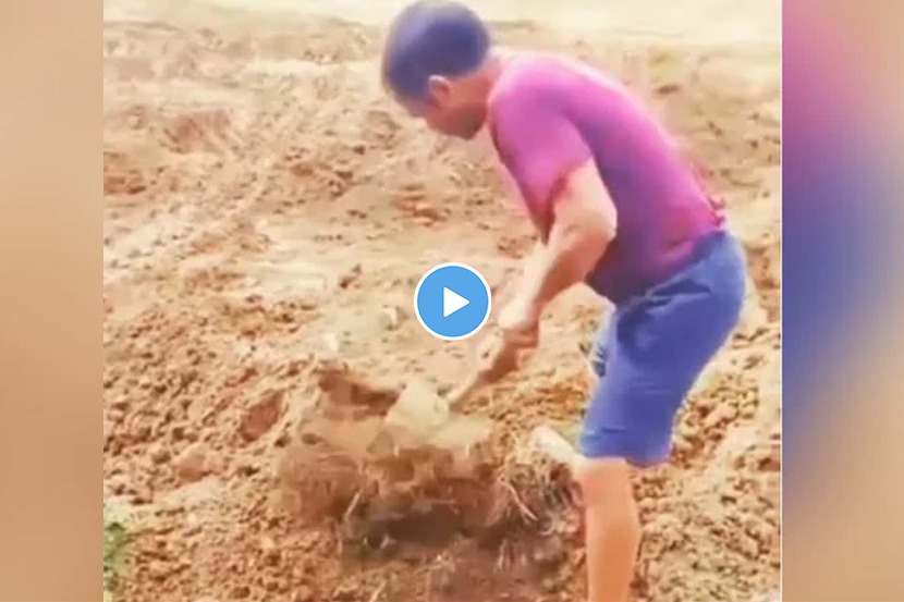 सलमाननंतर ‘हा’ अभिनेता करतोय शेतात काम, पाहा व्हिडीओ
