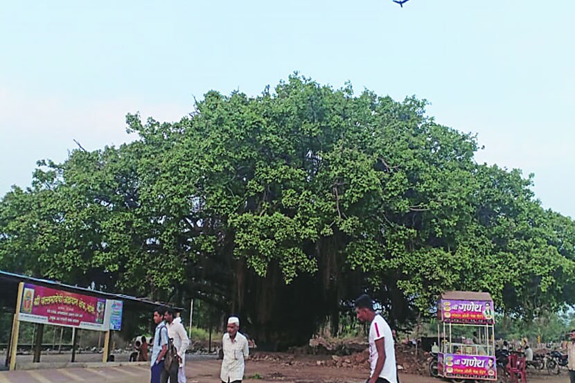 संग्रहित छायाचित्र