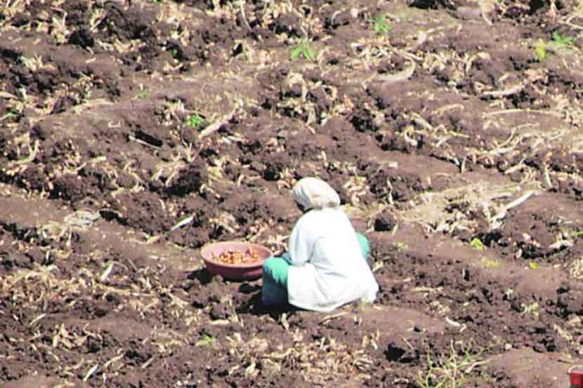 तेवीस लाख शेतकऱ्यांना बांधावर खतपुरवठा