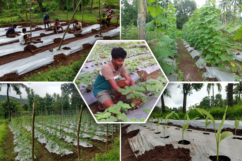 Success Story : लॉकडाउनमध्ये करिअरच्या वाटा ‘अनलॉक’ करणारा युवा शेतकरी