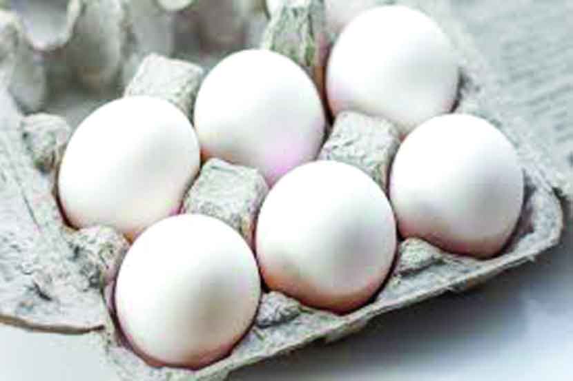 कोंबडी, अंडी आहार सुरक्षित