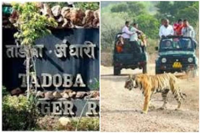 संग्रहीत प्रतिकात्मक छायाचित्र