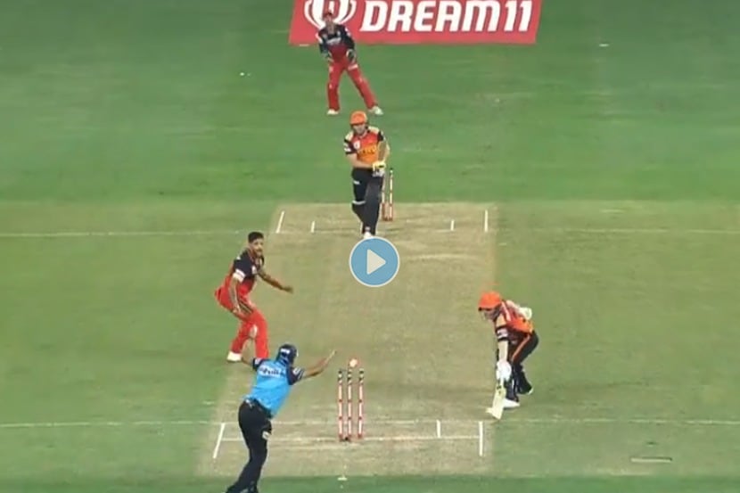 Video : अरेरे ! फॉर्मात आलेला वॉर्नर विचित्र पद्धतीने धावबाद