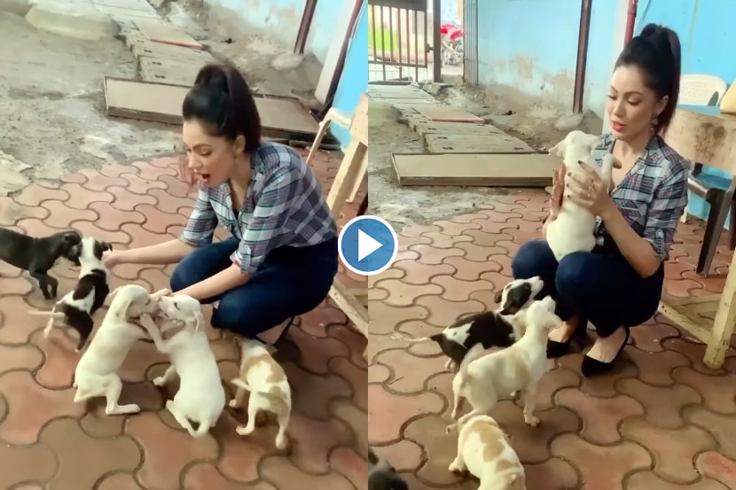 Video : ‘तारक मेहता’ चा सेट…मोकळा वेळ, बबिताजींची कुत्र्याच्या पिल्लांसोबत मस्ती