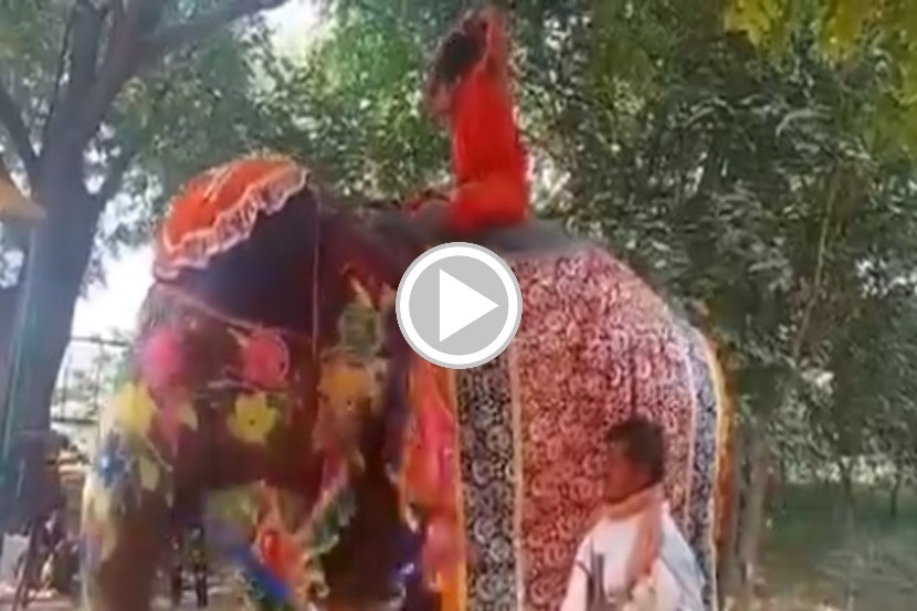 ‘योग’ होता हत्तीवरुन पडण्याचा! रामदेवबाबांचा व्हिडीओ व्हायरल