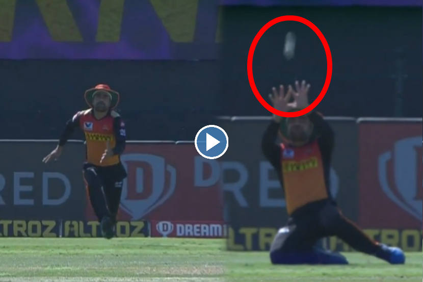 VIDEO: हवेत उडालेला चेंडू झेलण्यासाठी राशिद खान धावत येऊन मैदानातच बसला अन्…