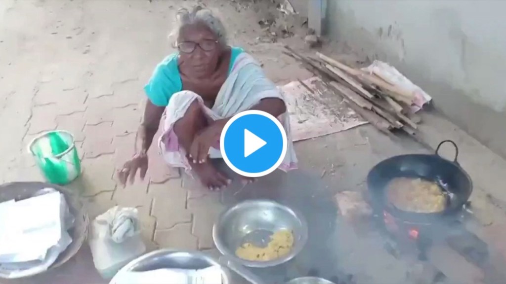रस्त्यावर भजी विकणाऱ्या आजींचा व्हिडीओ व्हायरल, रवीनाने केली मदतीची मागणी