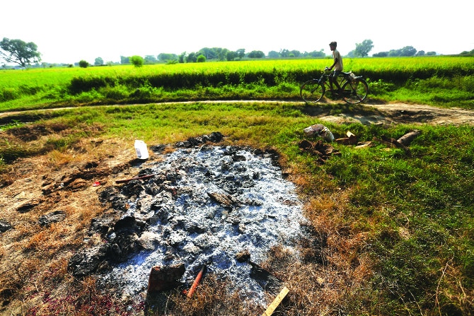 या अवघ्या १९ वर्षांच्या एके काळी जिवंत असलेल्या मुलीला आता अस्तित्व उरलं आहे ते निव्वळ आकडेवारीमध्ये.