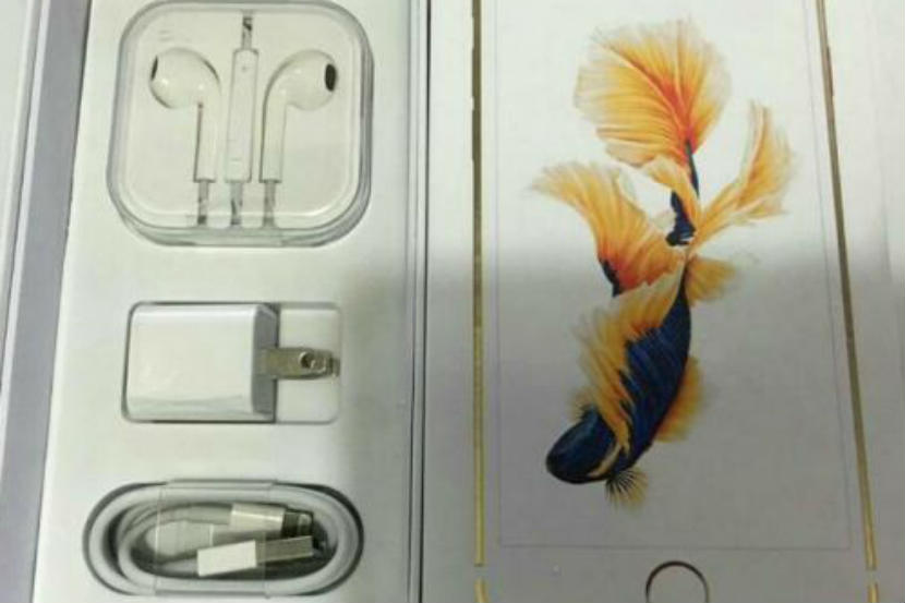 iPhone 11 पर्यंतच्या मोबाइलसोबत ना मिळणार चार्जर, ना इयरफोन