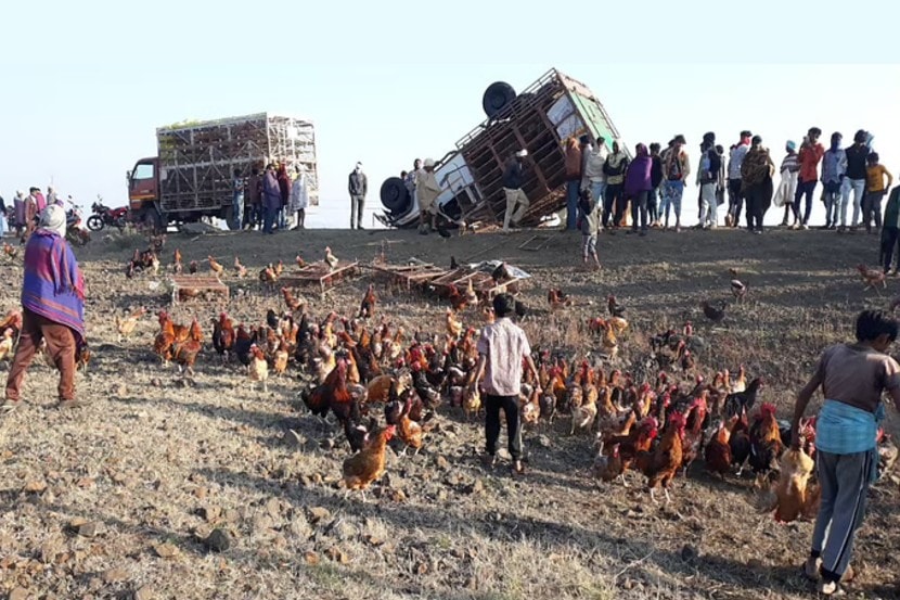 (फोटो सौजन्य: फ्री प्रेस जर्नलवरुन साभार)