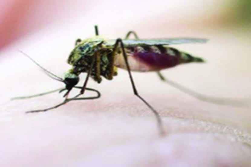 मलेरिया रोखण्यात भारताला यश