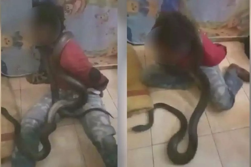 Video : आरोपीने गुन्हा कबूल करावा म्हणून पोलिसांनी केला सापाचा वापर