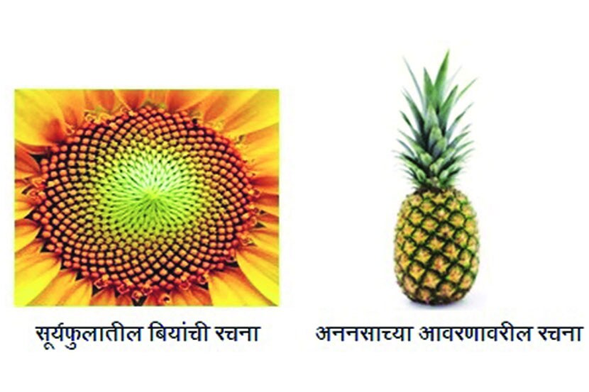 (संग्रहित छायाचित्र)
