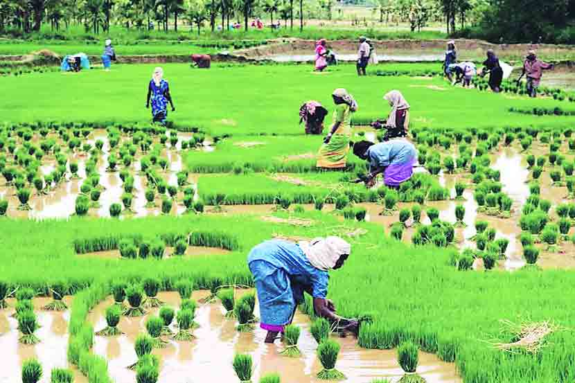 यूपीएससीची तयारी : भूगोल – पर्यावरणीय, सामाजिक, आर्थिक