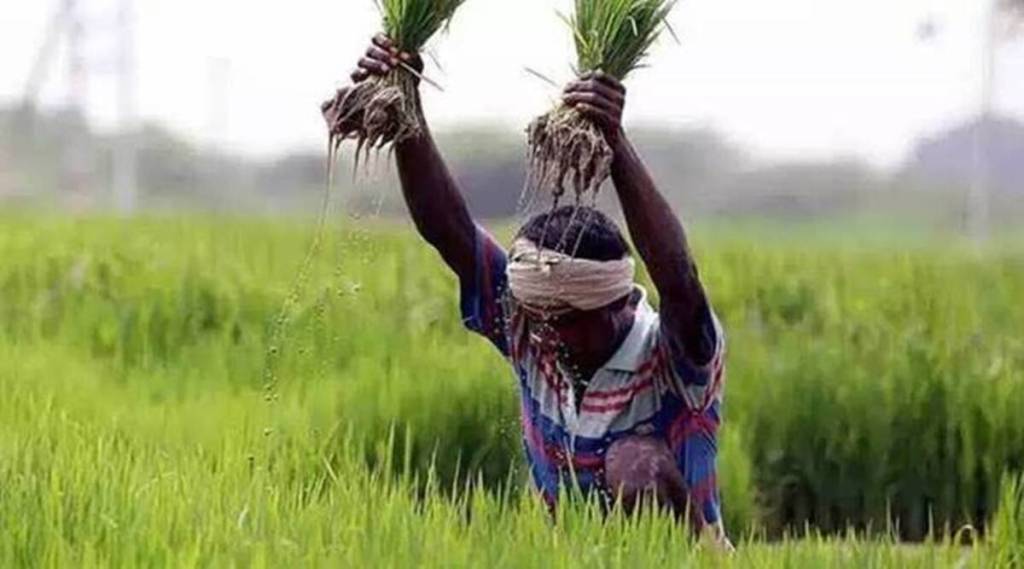 maharashtra economical survey 2021 farming sector
