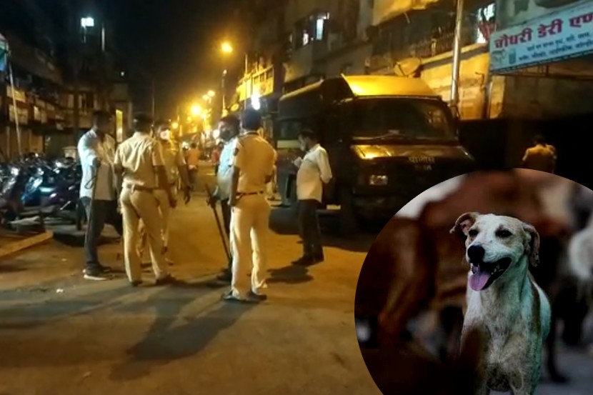 Video : मास्क न घातल्याचा जाब विचारला म्हणून डोंबिवलीत पोलीस पथकावर सोडला कुत्रा