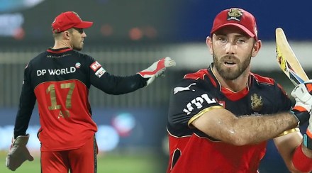 ab de villiers reveals why tired glenn Maxwell was angry with him