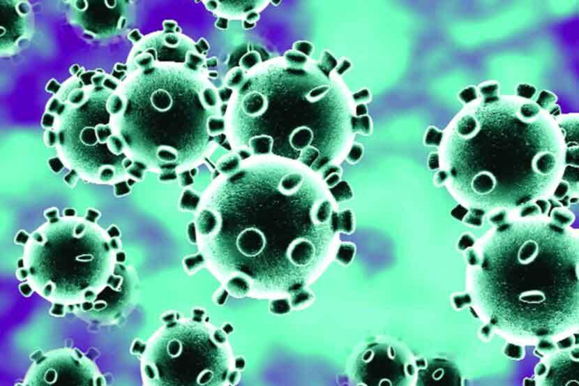 Coronavirus : दोन दिवसात ७८ करोना रुग्णांचा मृत्यू