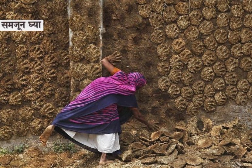 cow dung use in india