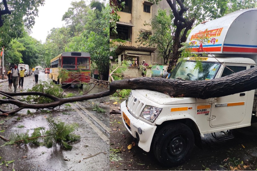 Cyclonic Storm Tauktae Live Tracker, Mumbai Rains Live Update