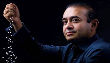 nirav modi extradition to india appeal in high court
