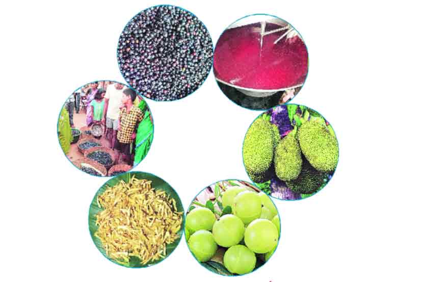 रानमेव्यावरील प्रक्रिया उद्योग!