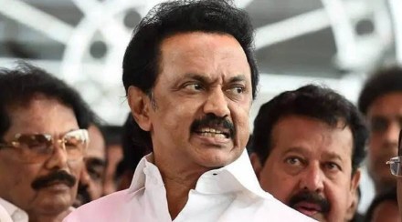 tamilnadu cm m k stalin