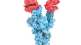 WHO assigns labels to Covid variants