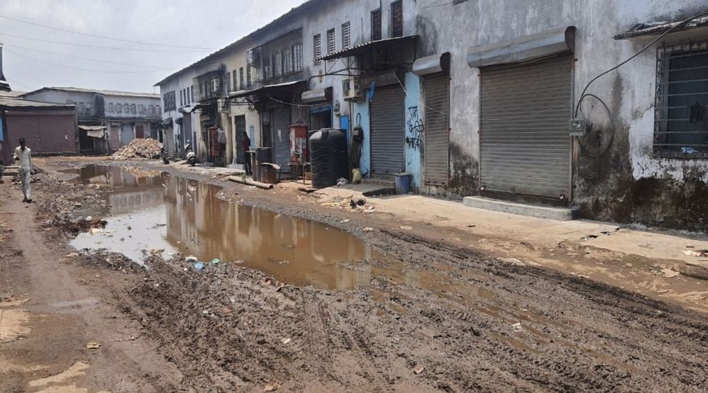 औद्योगिक वसाहतीत घाणीचे साम्राज्य