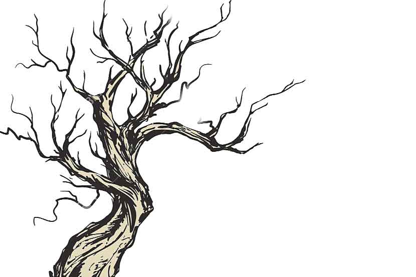 ऑनलाईन कविसंमेलनातून झाडे जगवण्याचा संदेश