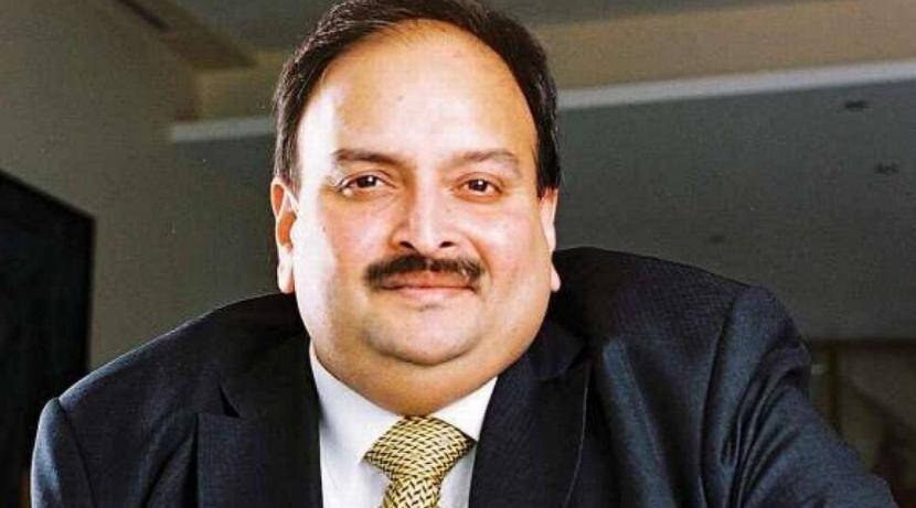 Mehul choksi affidavit dominica law abiding citizen treatment