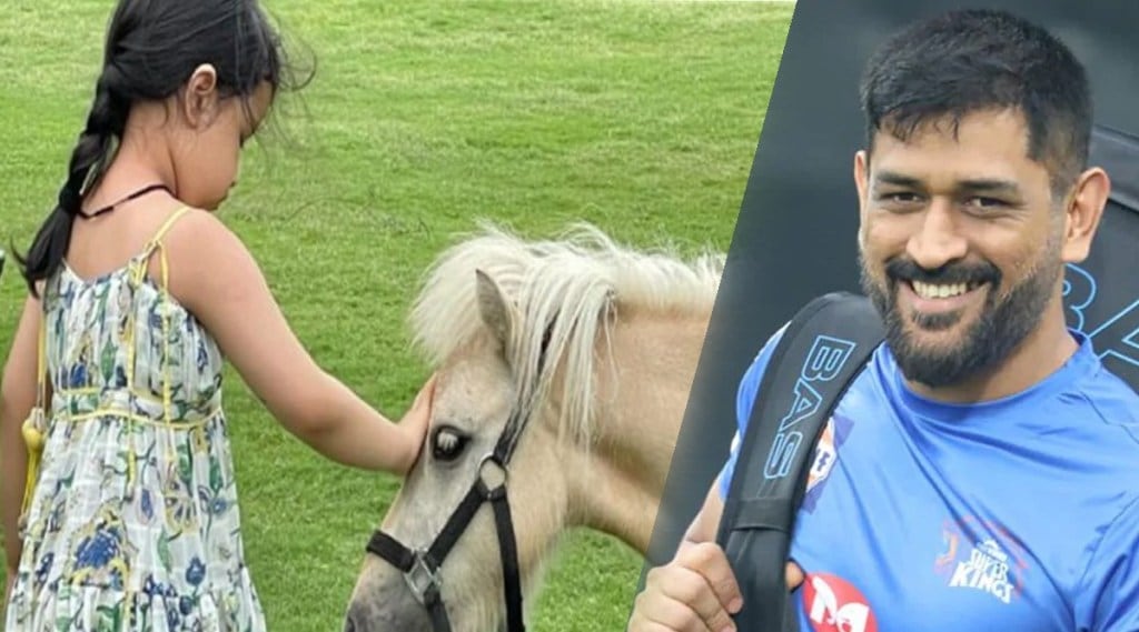 Mahendra singh dhoni bought a expensive horse from scotland