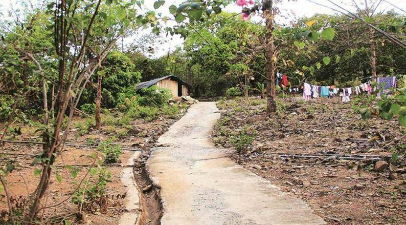 SRA Rehabilitation project in Aarey Colony canceled Success to the environmentalist movement