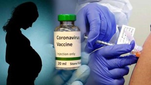The vaccine can be given to pregnant women ICMR information
