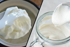 Food Combination to Avoid with Curd, Food Pairing to Avoid with Curd