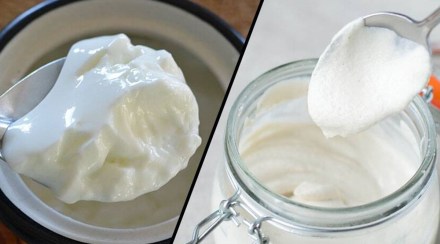 Food Combination to Avoid with Curd, Food Pairing to Avoid with Curd