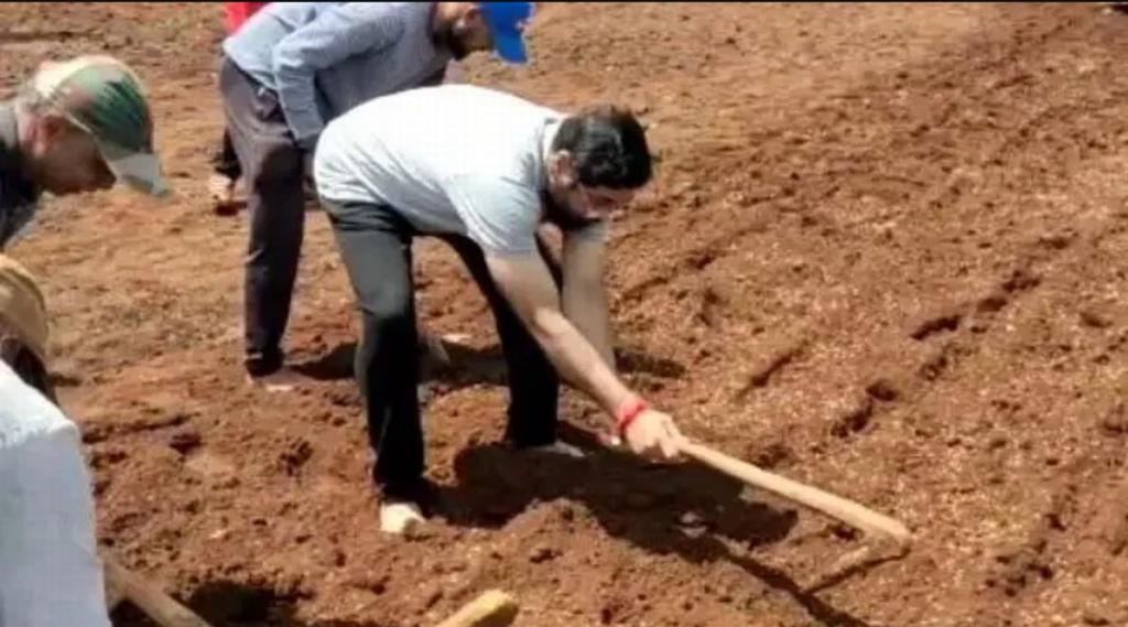 Shiv Sena leader Urban Development Minister Eknath Shinde planted paddy in Mahabaleshwar