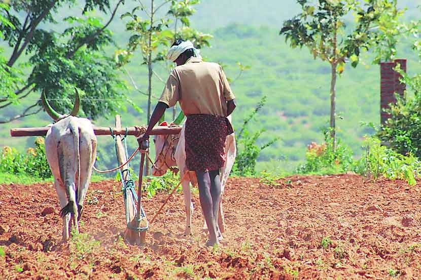 पीकविम्याच्या बीड प्रारुपास शेतकऱ्यांचाच विरोध