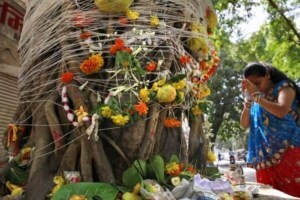 importance of vat purnima