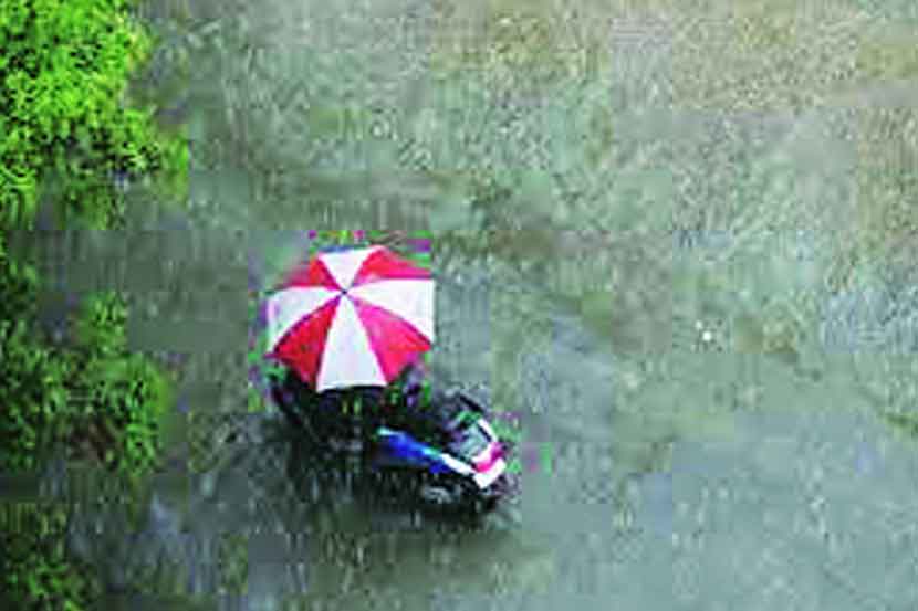 भारताच्या वार्षिक पर्जन्यमानातील ८० ते ८५ टक्के पाऊस जून ते सप्टेंबर या चार महिन्यात तर उरलेला १५ ते २० टक्के पाऊस उर्वरित चार महिन्यात पडत असतो.