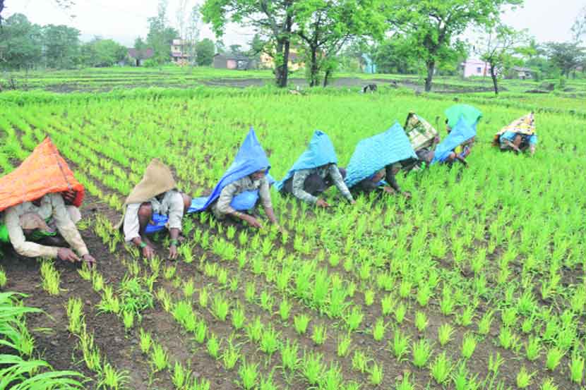 पीक विमा योजनेतील हा बदल राज्यभर लागू करण्यासाठी मुख्यमंत्री उद्धव ठाकरे यांनी पंतप्रधान नरेंद्र मोदी यांना साकडे घातले आहे.